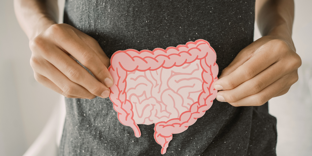 Top 10 Herbal Teas for Indigestion, Bloating & Gut Health