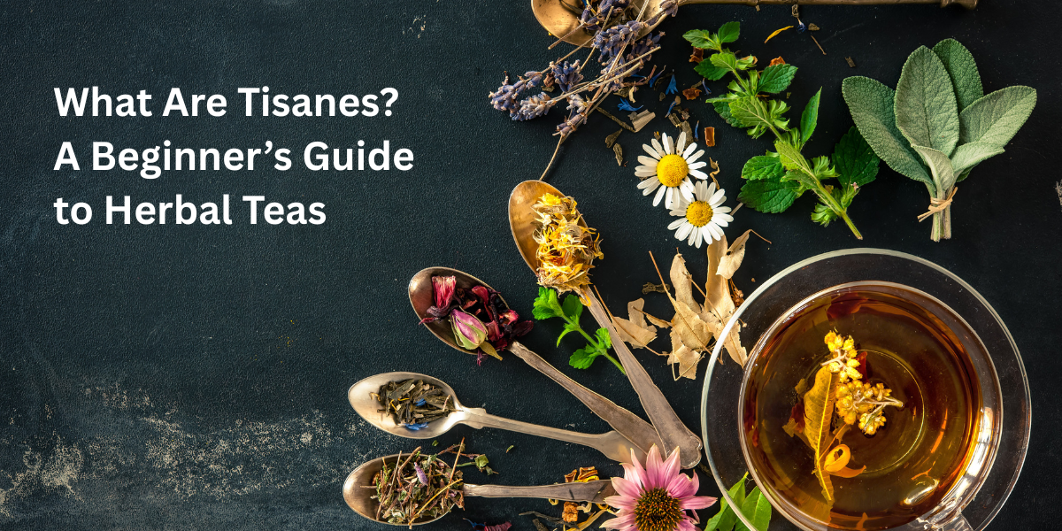 What Are Tisanes? A Beginner’s Guide to Herbal Teas (UK 2026)