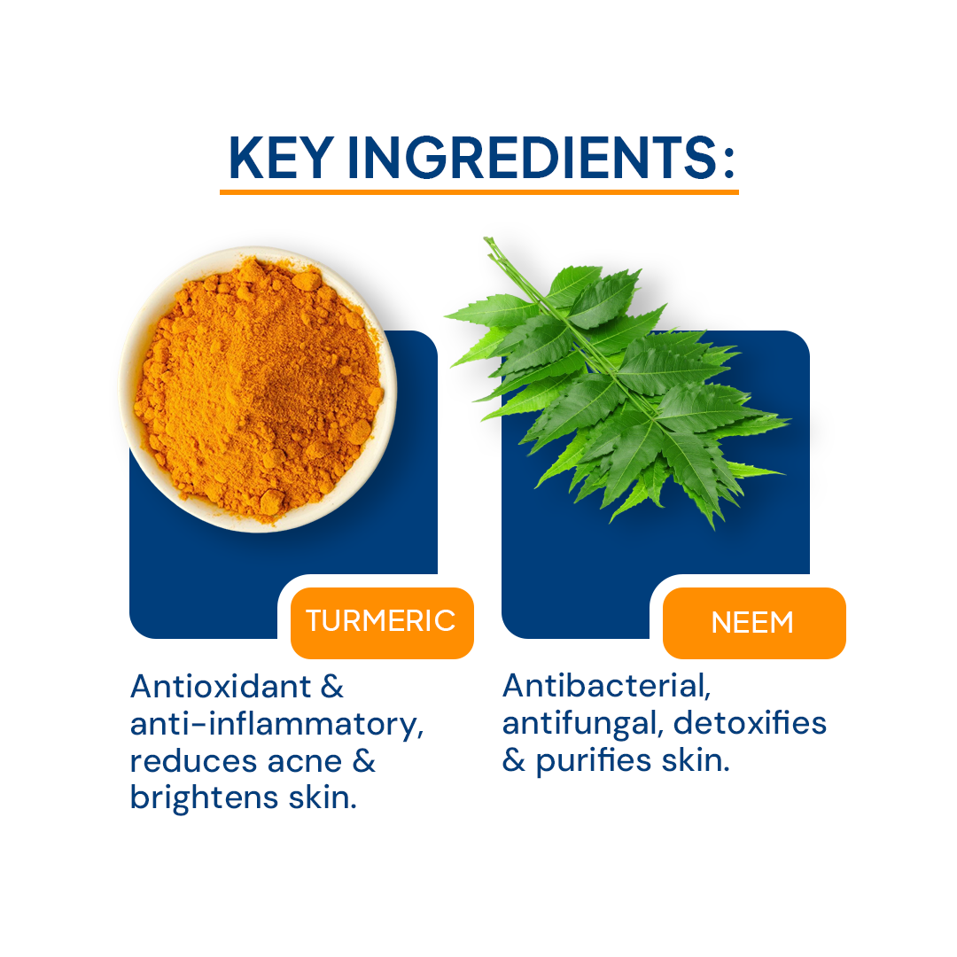 Key ingredients of turmeric and neem 